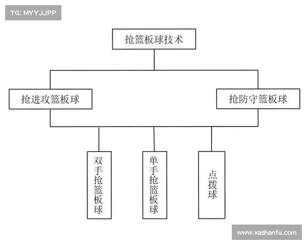 篮球网技术解析与发展趋势:从基础构造到未来创新展望 篮球网技术解析与发展趋势:从基础构造到未来创新展望